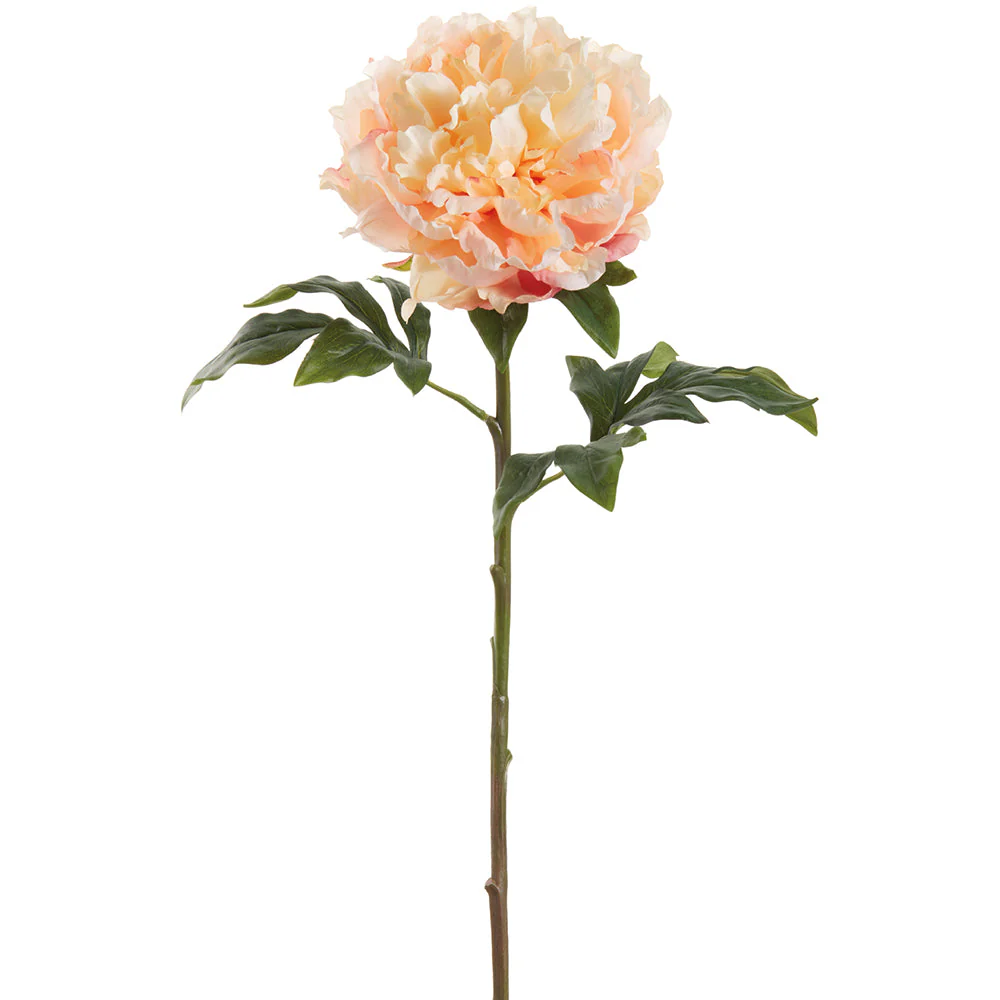 29" Large Peony Silk Flower Stem -2 Tone Peach (Pack of 12)