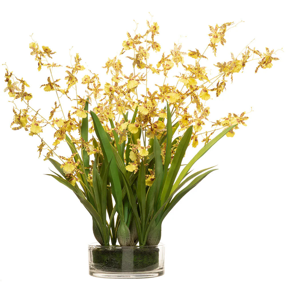 29" Oncidium Orchid Silk Flower Arrangement w/Glass Vase -Yellow