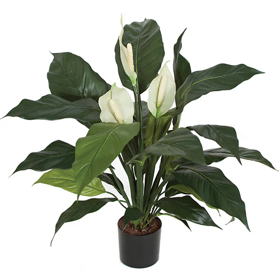 29" Peace Lily Spathiphyllum Silk Plant w/Pot -Green/White (Pack of 2)
