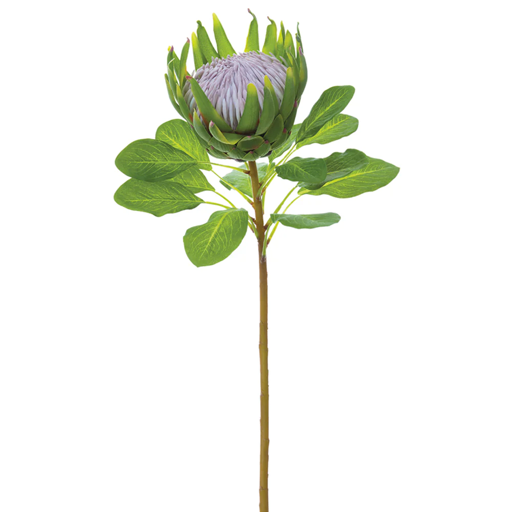 29" Protea Silk Flower Stem -Green (Pack of 12)