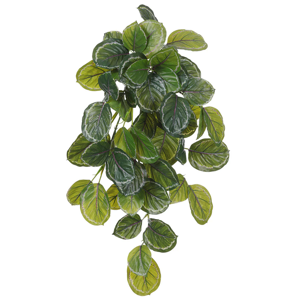 29" Real Touch Hanging Calathea Leaf Artificial Plant -2 Tone Green (Pack of 6)