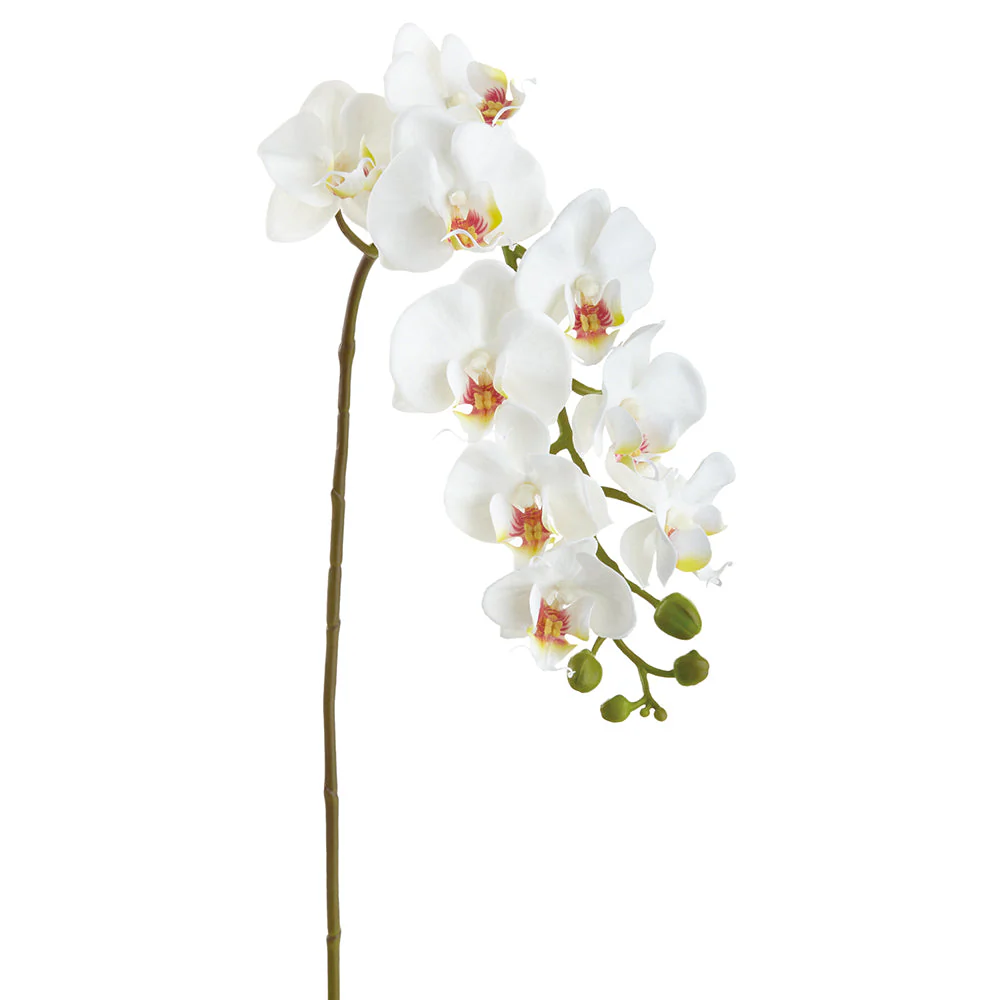 29" Real Touch Phalaenopsis Orchid Silk Flower Stem -White (Pack of 12)