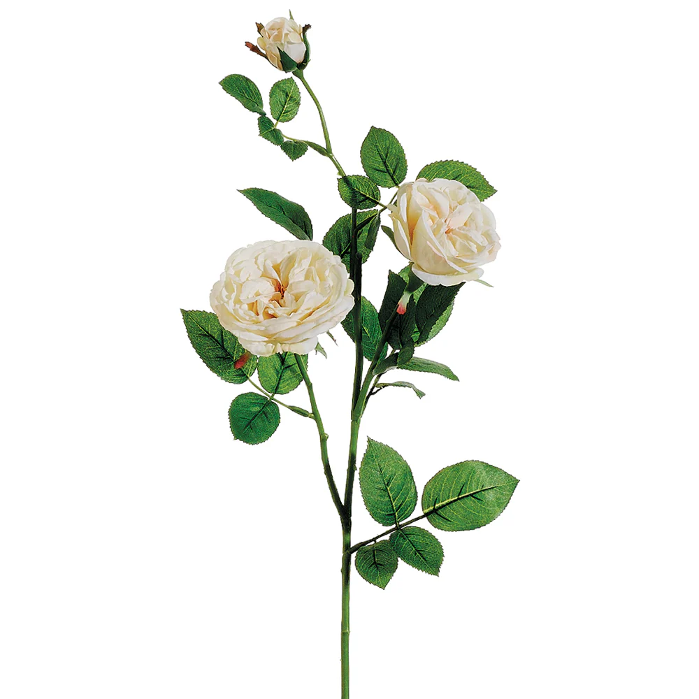 29" Silk Garden Rose Flower Spray -Cream (Pack of 12)