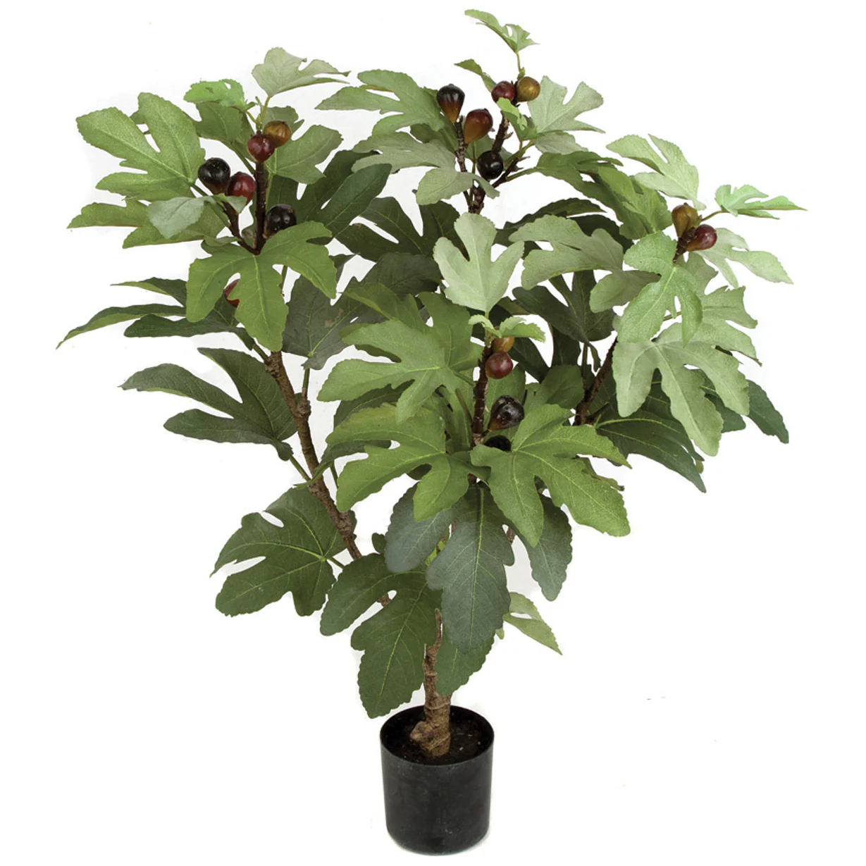 3' Artificial Fig Fruit Tree w/Plastic Pot -Green