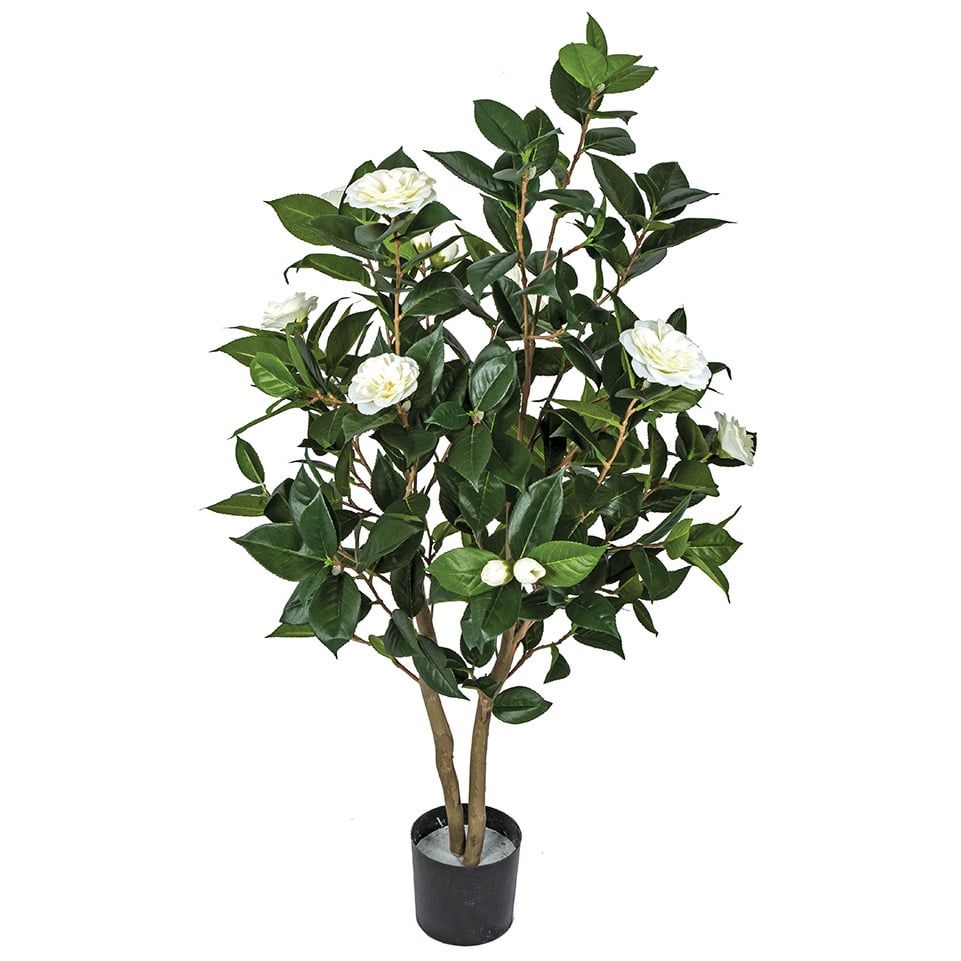 3' Flowering Camellia Silk Tree w/Pot -Cream (Pack of 2) (Open Box)