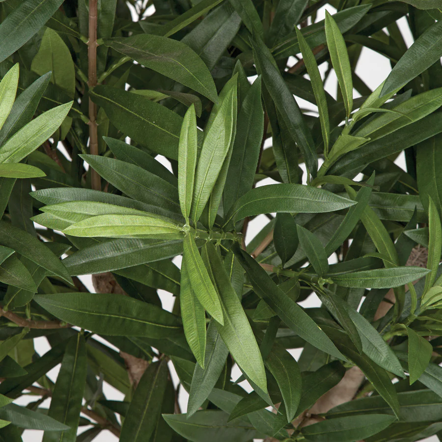 3' IFR Oleander Artificial Tree w/Pot -Green - Image 2