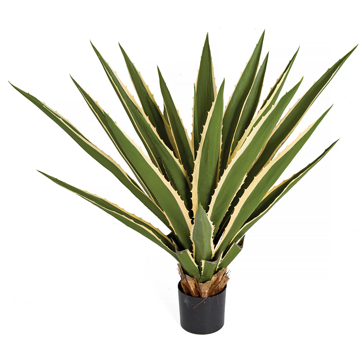 3' Outdoor UV-Resistant Artificial Agave Plant w/Pot -Green/Cream