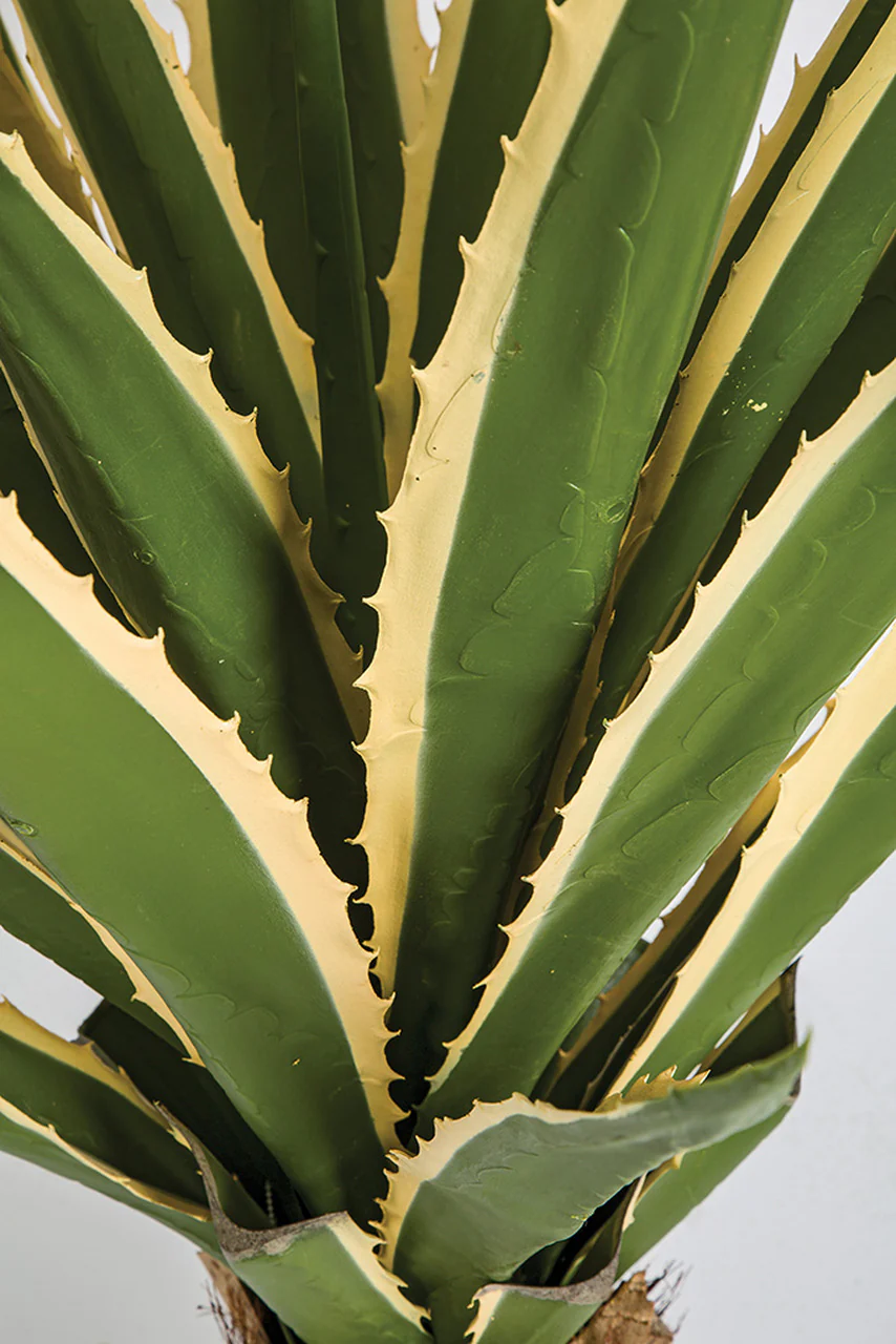 3' Outdoor UV-Resistant Artificial Agave Plant w/Pot -Green/Cream - Image 2