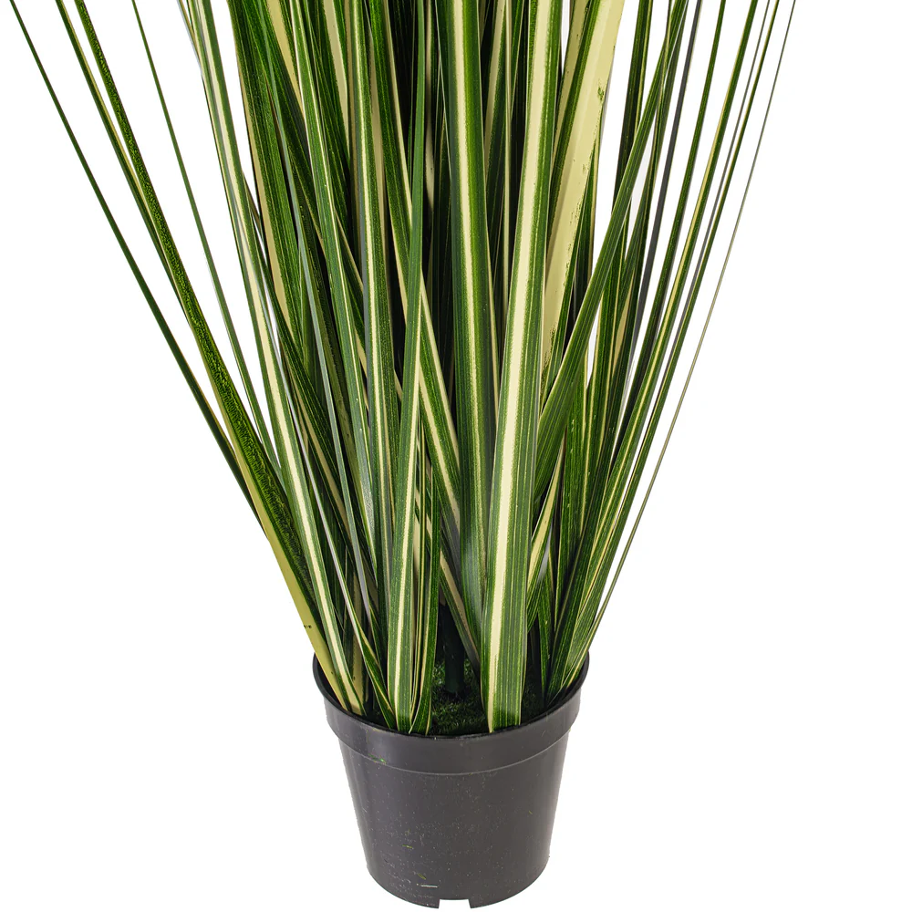 3' Outdoor UV-Resistant Artificial Evergold Grass Plant w/Pot -Green/Cream (Pack of 2) - Image 2