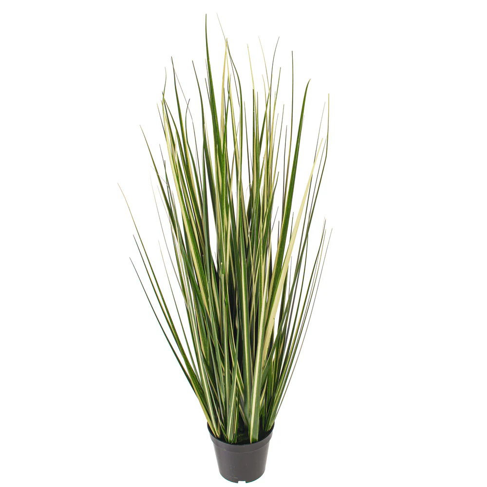 3' Outdoor UV-Resistant Artificial Evergold Grass Plant w/Pot -Green/Cream (Pack of 2) - Image 3