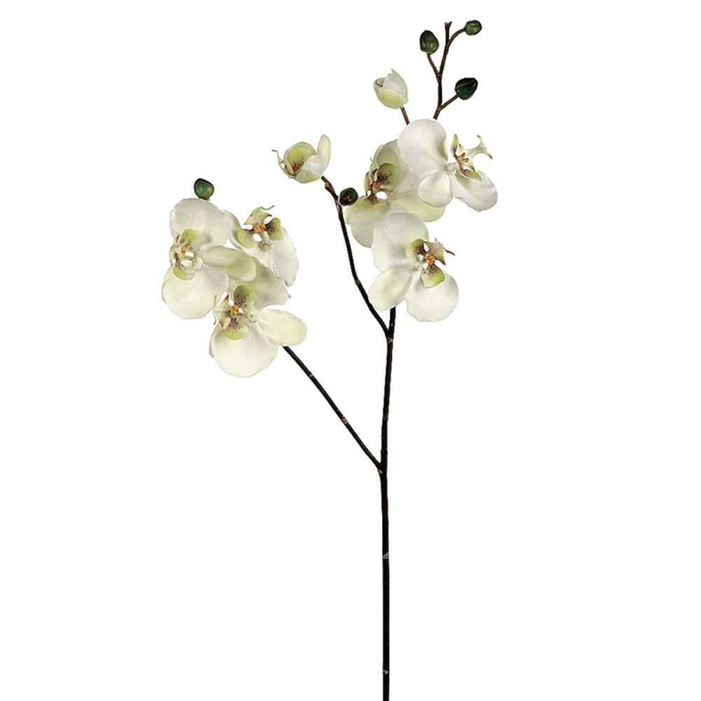 30.5" Hand-Wrapped Silk Phalaenopsis Orchid Flower Spray -Cream/Green (Pack of 6)