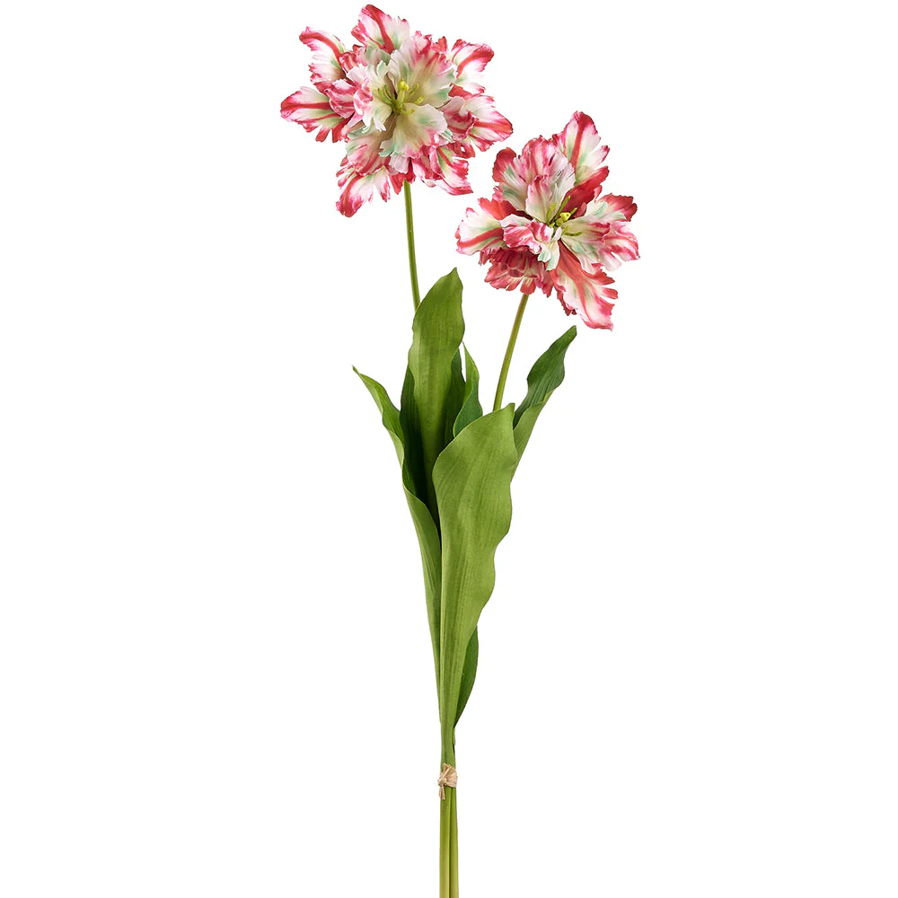 30.5" Parrot Tulip Silk Flower Stem Bundle -Cranberry/Green (Pack of 12)