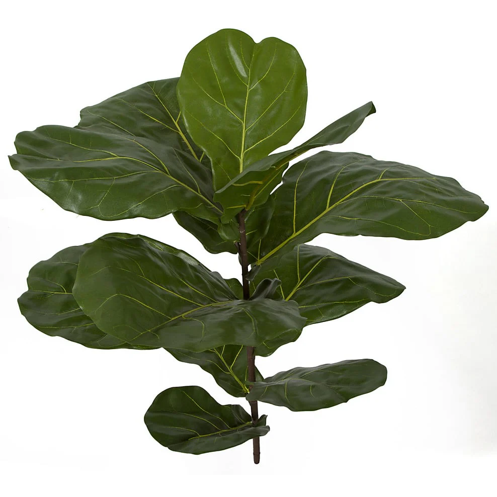 30" Artificial Fiddle Leaf Fig Stem -Green (Pack of 4)