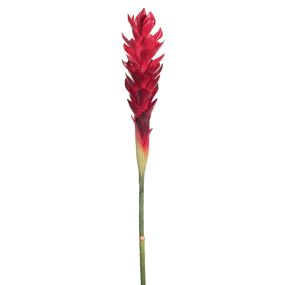 30" Hand-Wrapped Silk Hawaiian Ginger Flower Spray -Beauty (Pack of 12)