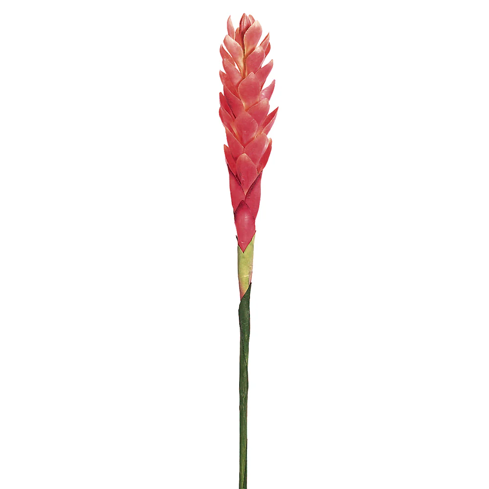 30" Hand-Wrapped Silk Hawaiian Ginger Flower Spray -Pink (Pack of 12)