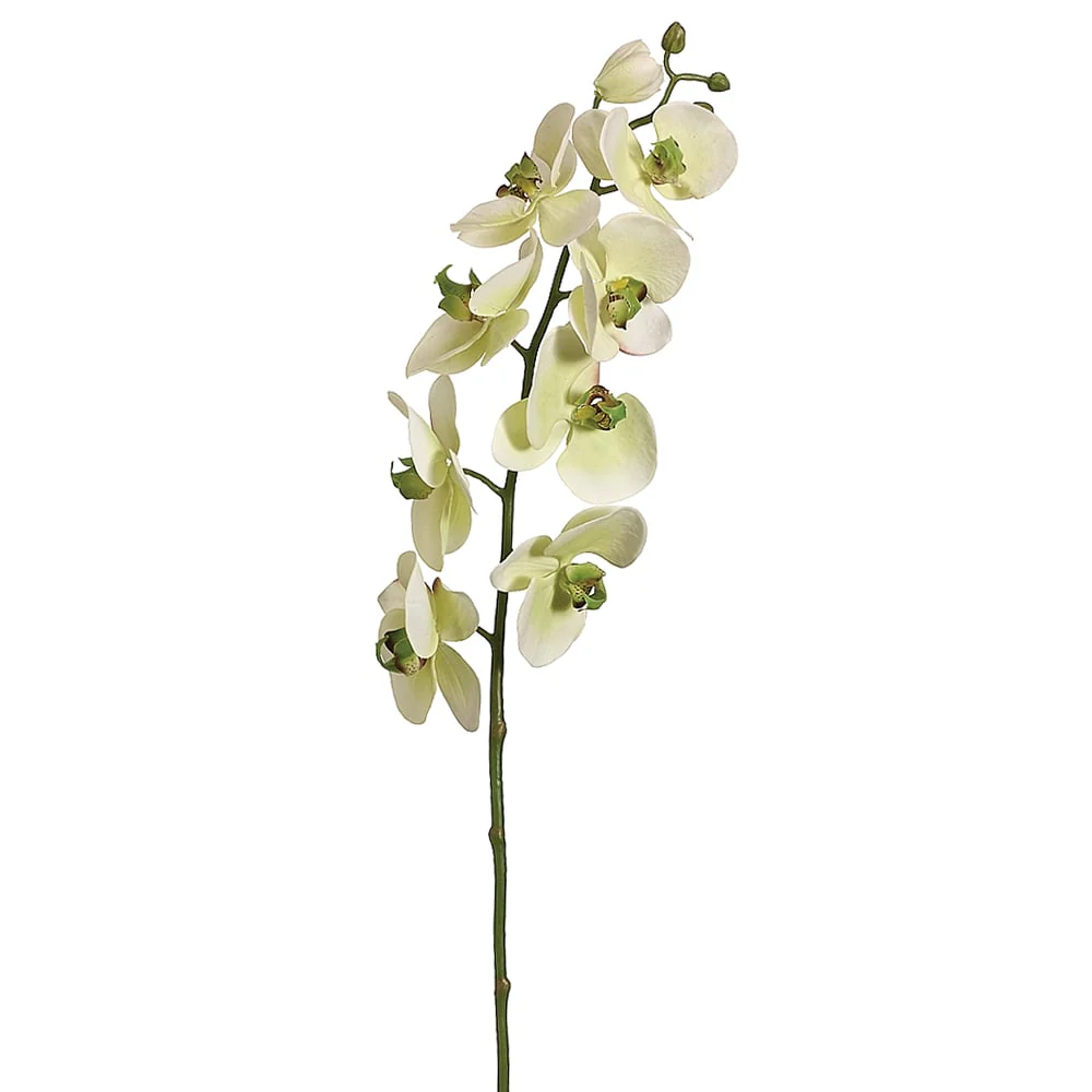 30" Hand-Wrapped Silk Phalaenopsis Orchid Flower Spray -Green/Violet (Pack of 6)