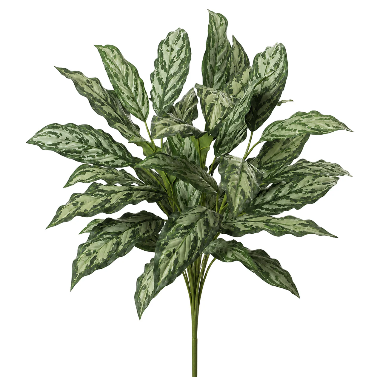 30" IFR Aglaonema Silver Queen Silk Plant -2 Tone Green (Pack of 6)
