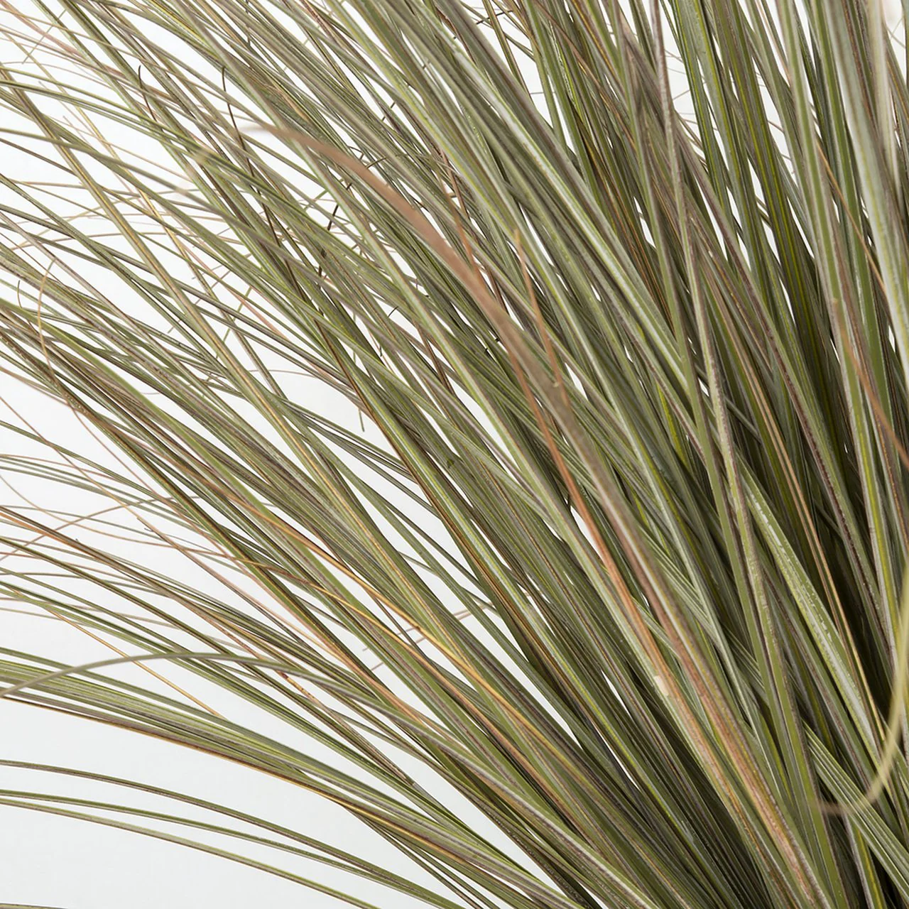 30" IFR PVC Onion Grass Artificial Plant w/Pot -Green/Tan - Image 2