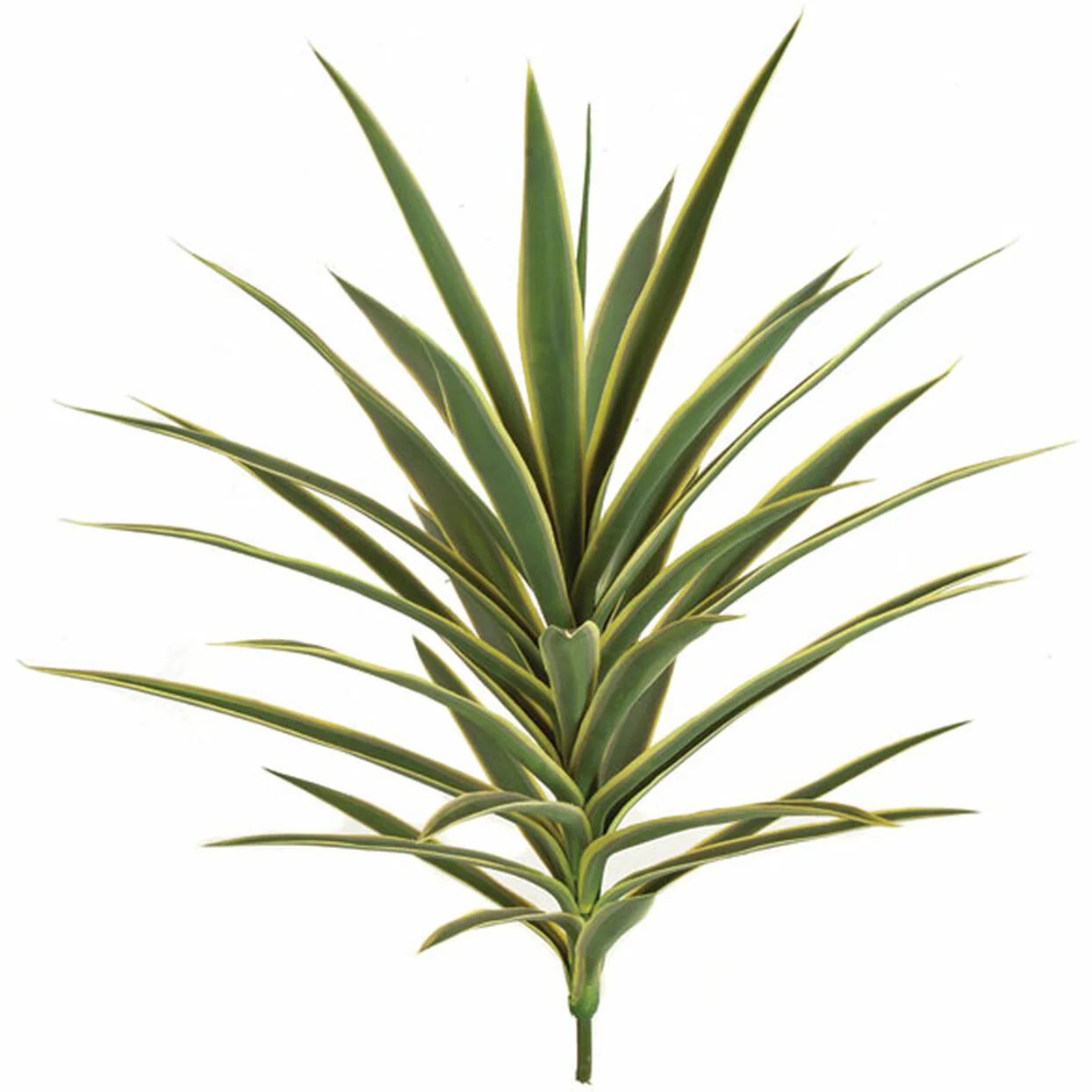 30" Outdoor UV-Resistant Artificial Yucca Plant -Green/Cream (Pack of 2)