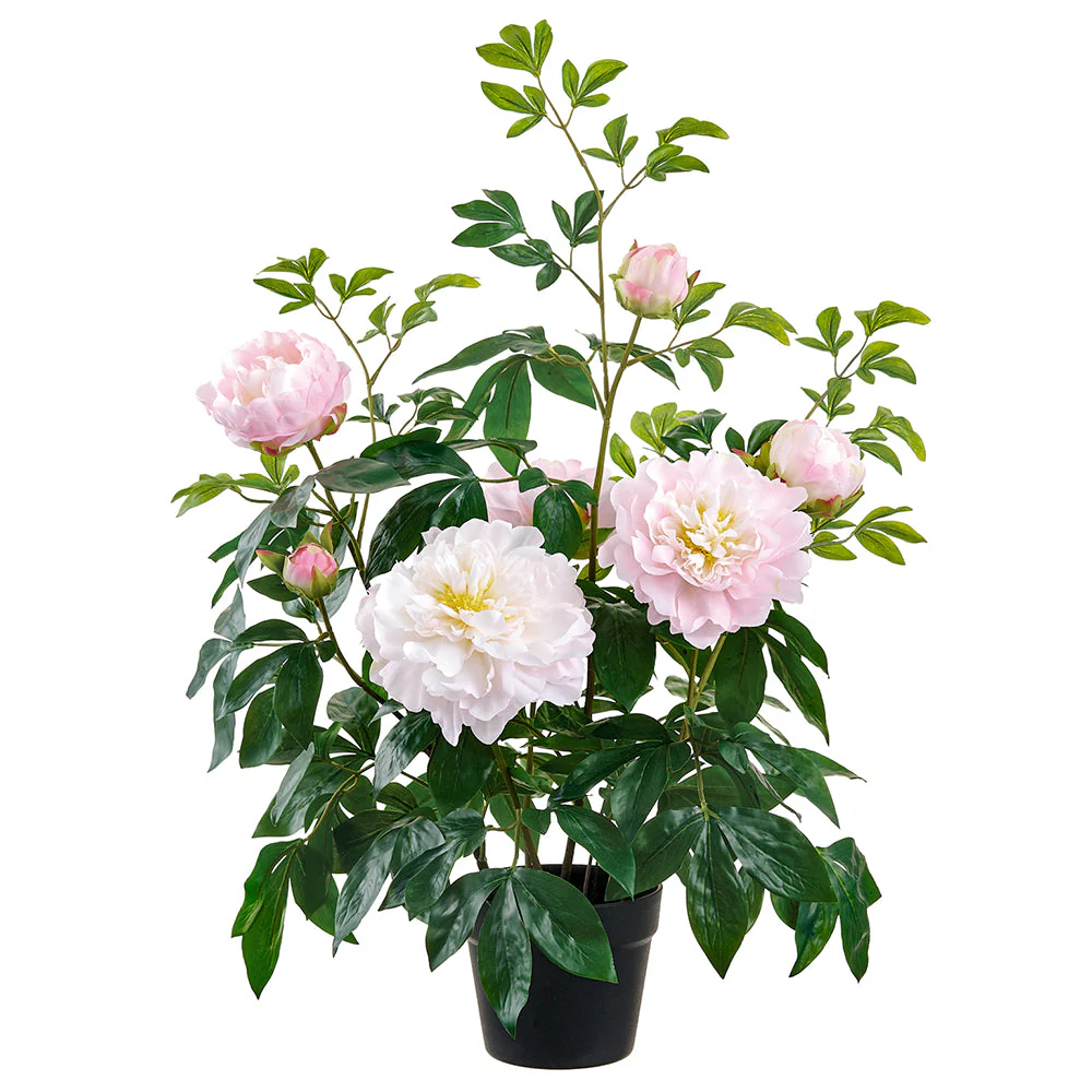 30" Peony Silk Flower Plant w/Plastic Pot -Blush (Pack of 4)