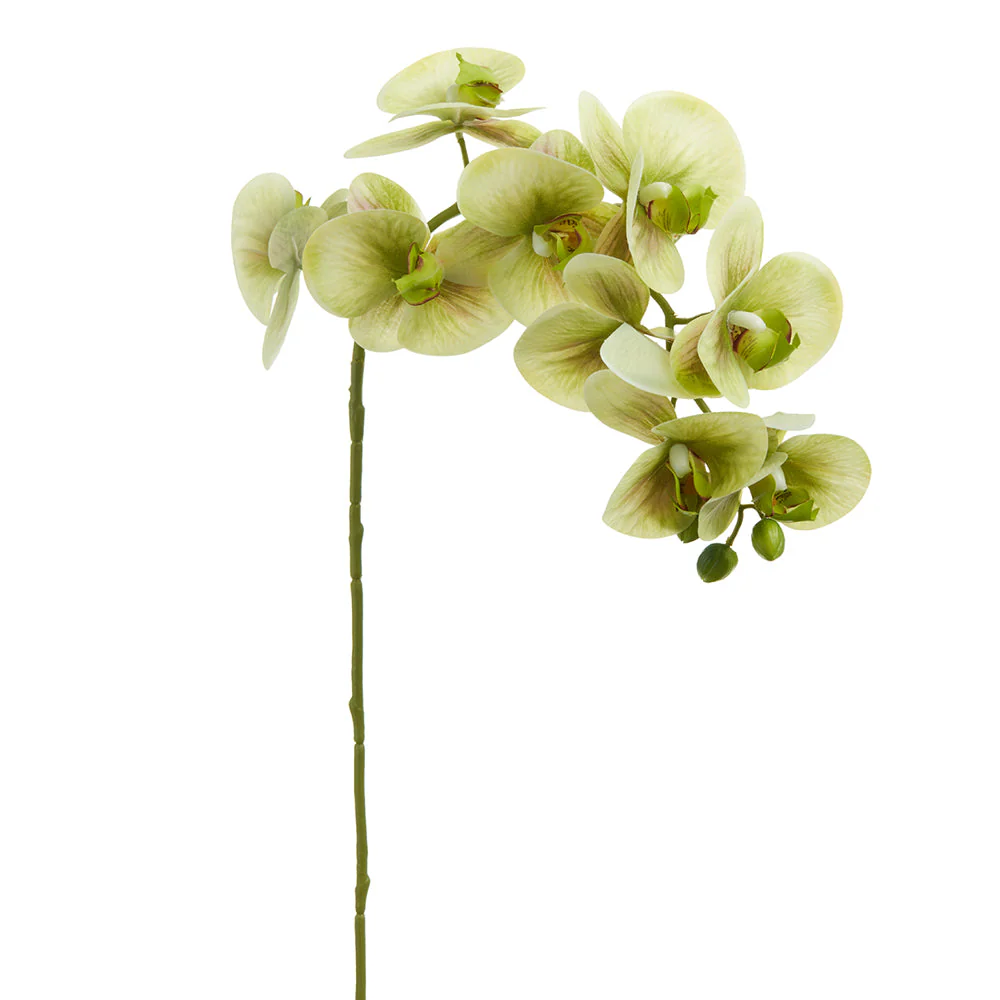 30" Phalaenopsis Orchid Silk Flower Stem -Green (Pack of 12)