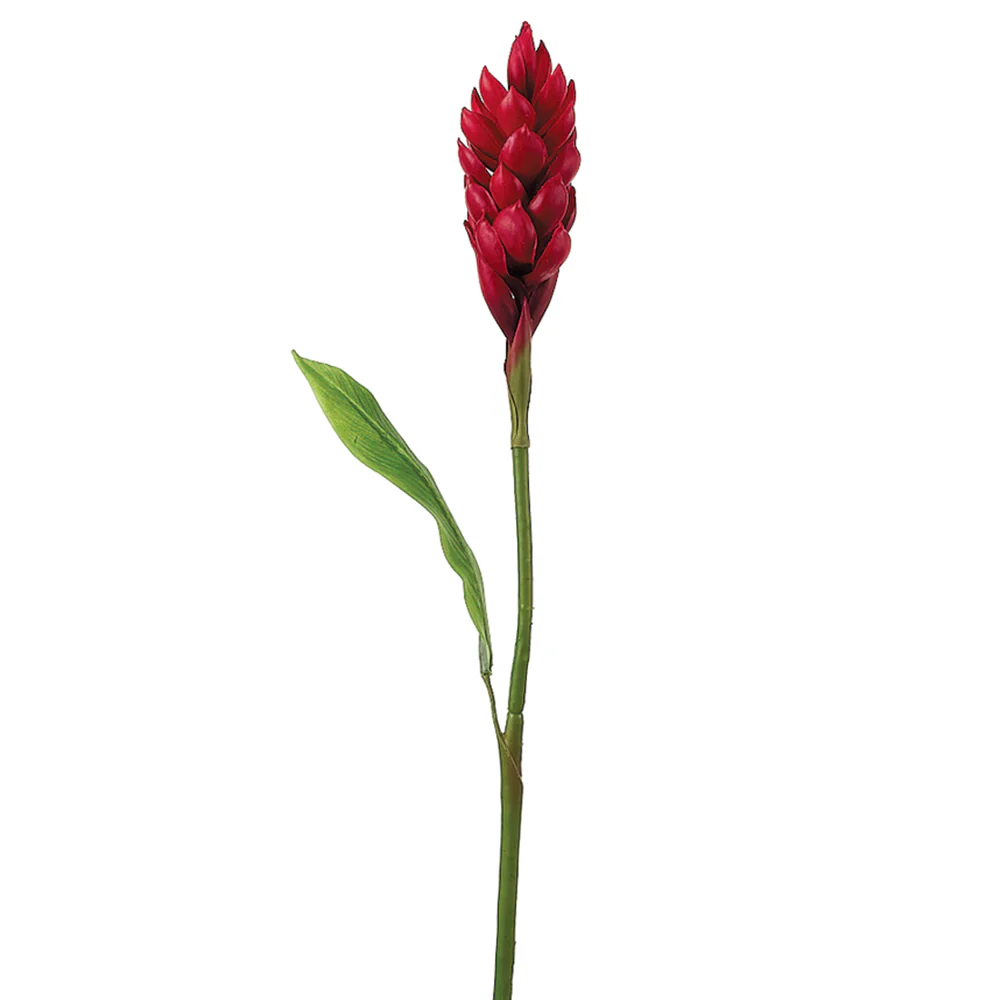 30" Silk Mini Ginger Flower Spray -Red (Pack of 12)