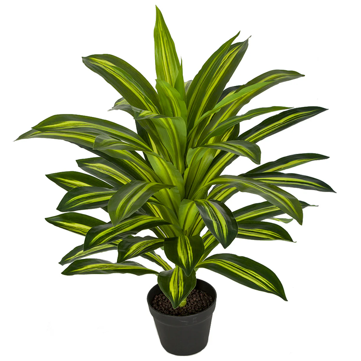 30" Soft-Touch Dracaena Silk Plant w/Pot -2 Tone Green (Pack of 2)