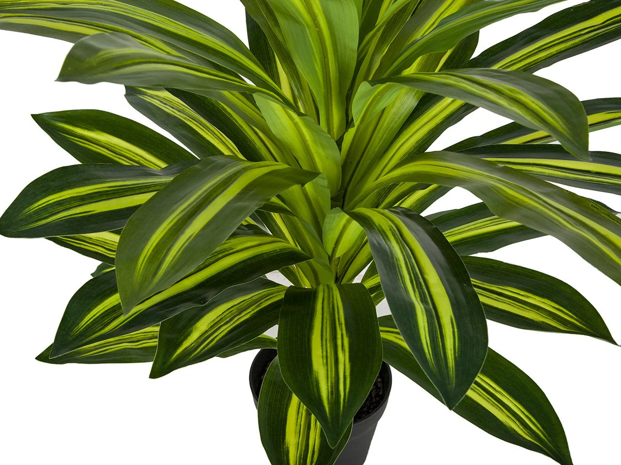 30" Soft-Touch Dracaena Silk Plant w/Pot -2 Tone Green (Pack of 2) - Image 2