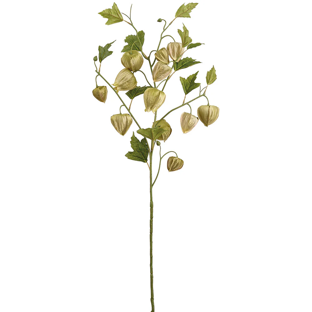 31.5" Artificial Chinese Lantern Flower Stem -Green (Pack of 12)