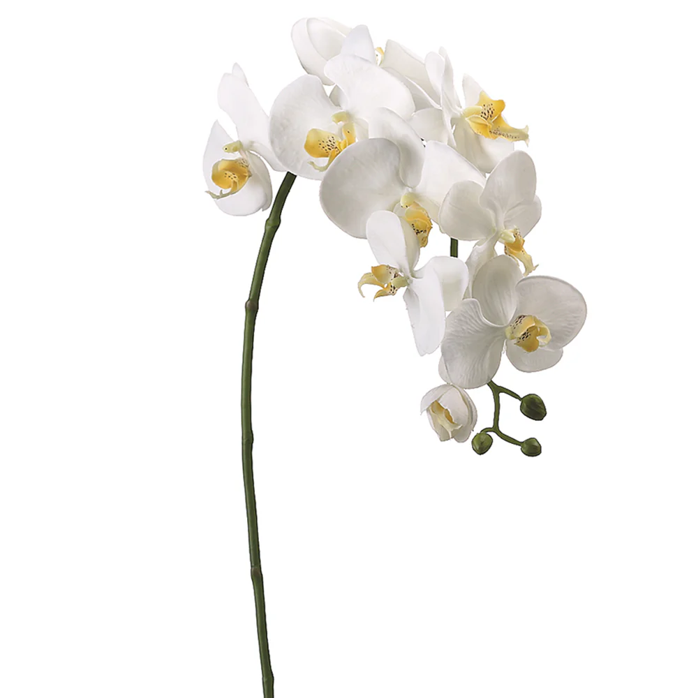 31.5" Hand-Wrapped Silk Phalaenopsis Orchid Flower Spray -Cream (Pack of 6)