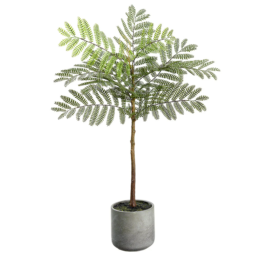 31.5" Jacaranda Fern Leaf Silk Tree w/Cement Pot -Green (Pack of 2)
