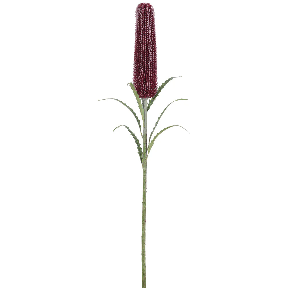 31" Artificial Banksia Protea Flower Stem -Burgundy (Pack of 12)