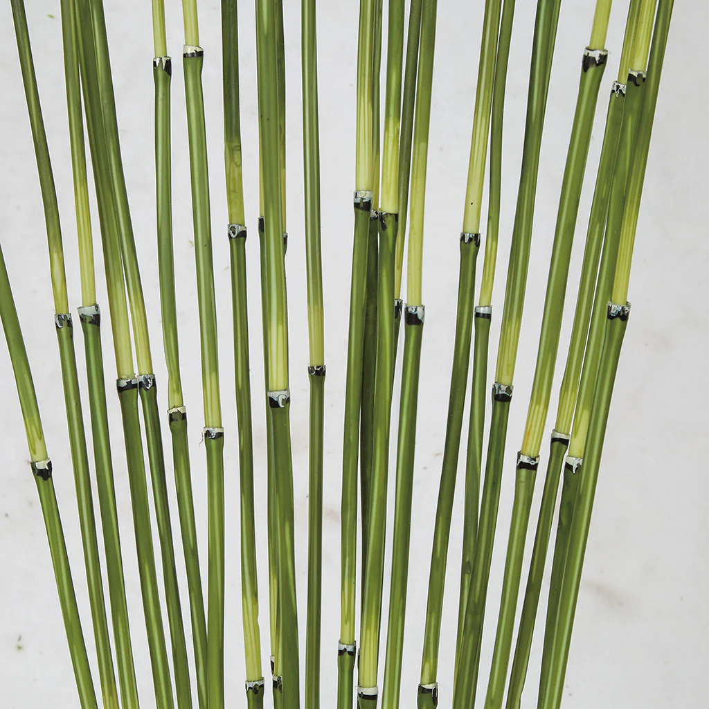 31" Artificial Equisetum Stem Plant w/Pot -2 Tone Green (Pack of 2) - Image 2