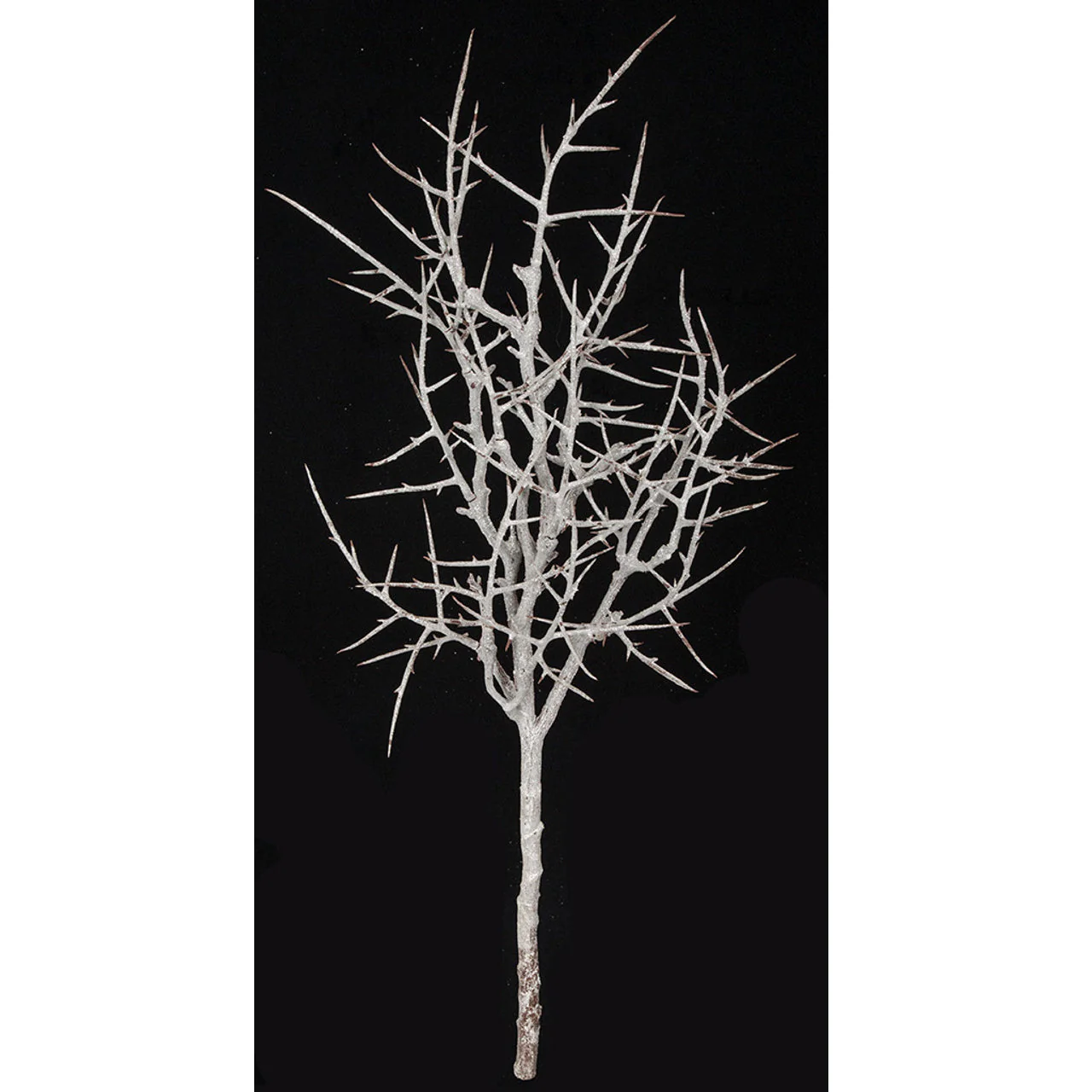 31" Frosted & Glittered Artificial Thorn Twig Stem -Silver/White (Pack of 4)