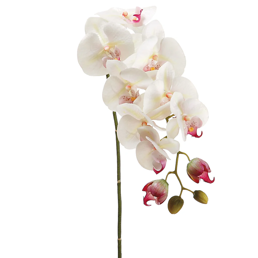 31" Hand-Wrapped Silk Phalaenopsis Orchid Flower Spray -Cream/Rubrum (Pack of 6)