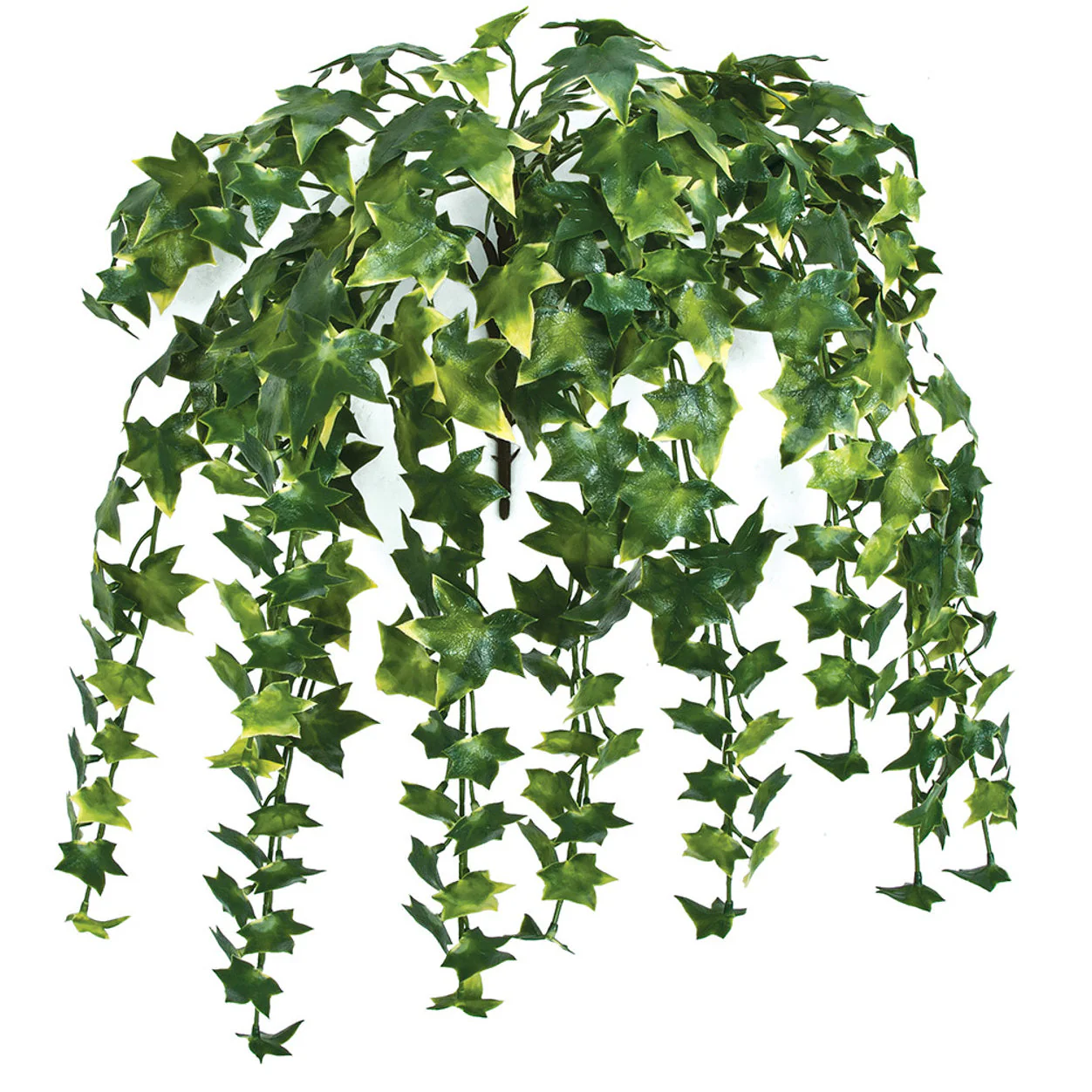 31" Outdoor UV-Proof Artificial Variegated English Ivy Hanging Plant -Green/Yellow (Pack of 4)