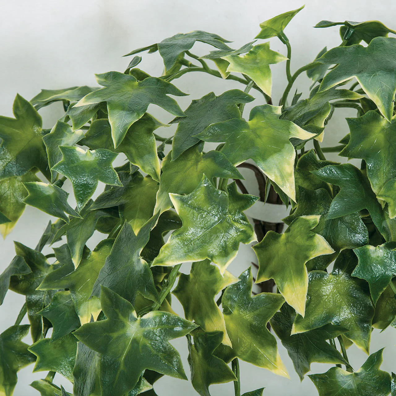 31" Outdoor UV-Proof Artificial Variegated English Ivy Hanging Plant -Green/Yellow (Pack of 4) - Image 2