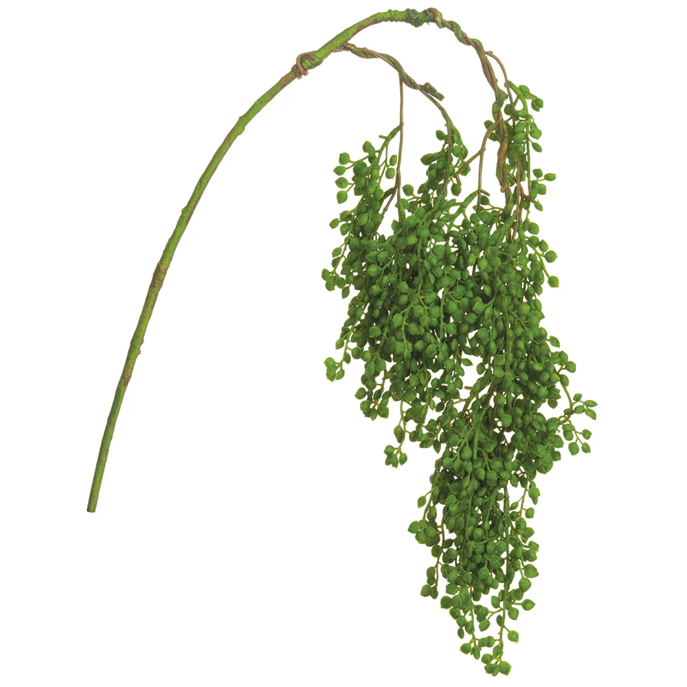 31" Real Touch Hanging Artificial String Of Pearls Stem -Green (Pack of 12)