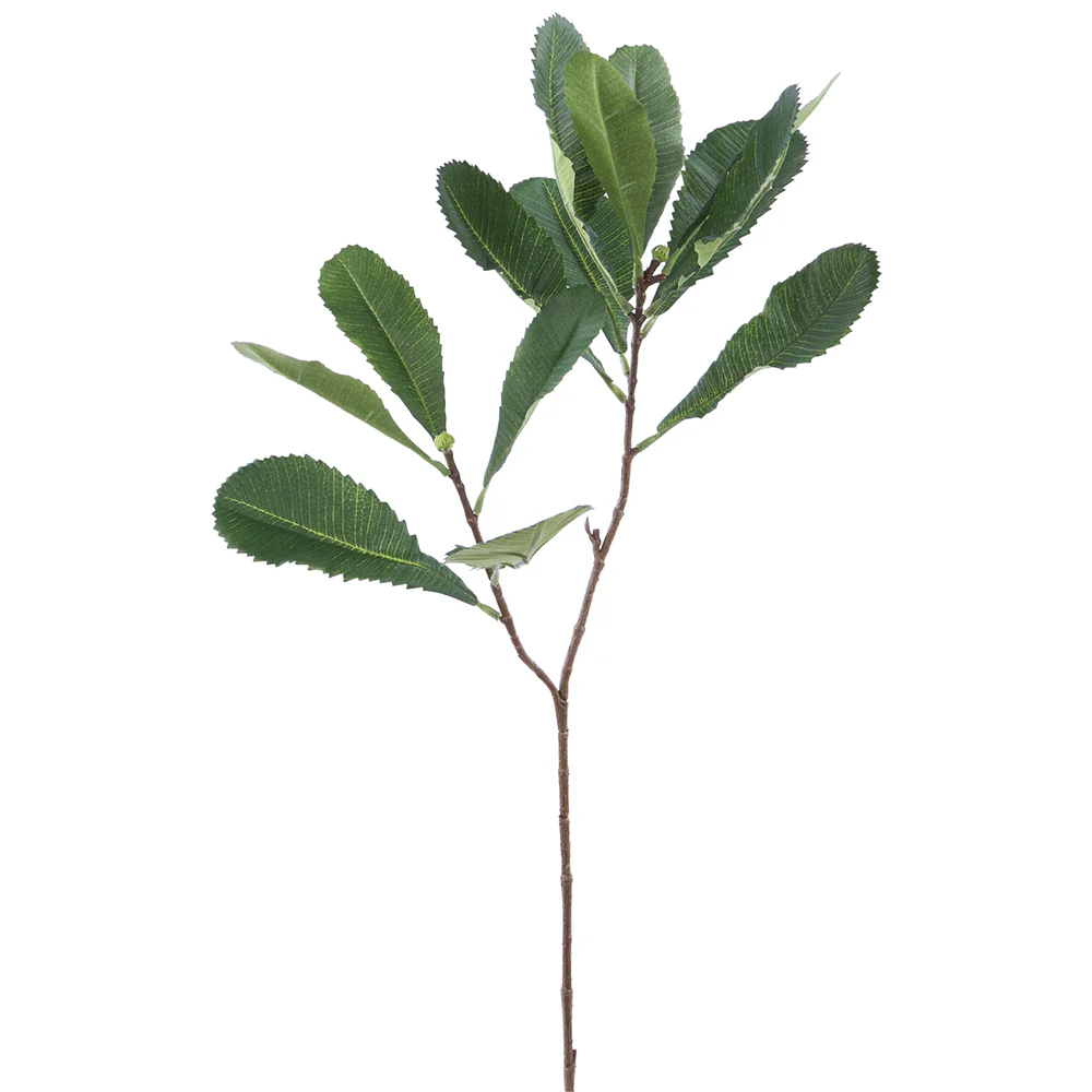 31" Silk Banksia Leaf Stem -Green (Pack of 12)