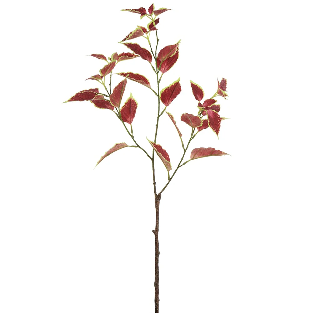 31" Silk Coleus Leaf Stem -Burgundy/Green (Pack of 12)