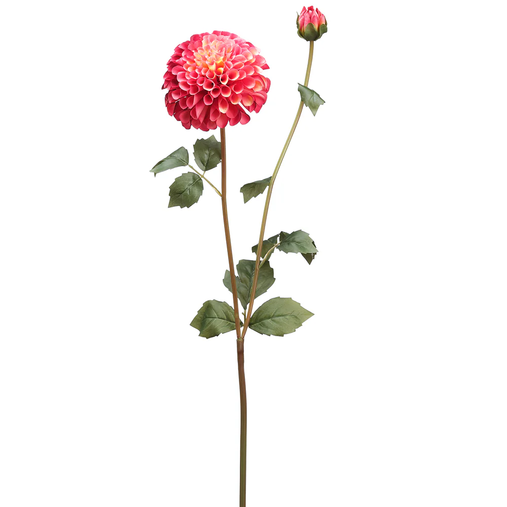 31" Silk Dahlia Flower Stem -2 Tone Rose (Pack of 12)