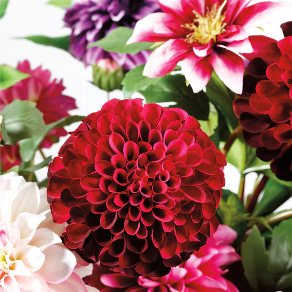 31" Silk Dahlia Flower Stem -Burgundy/Orchid (Pack of 12) - Image 2
