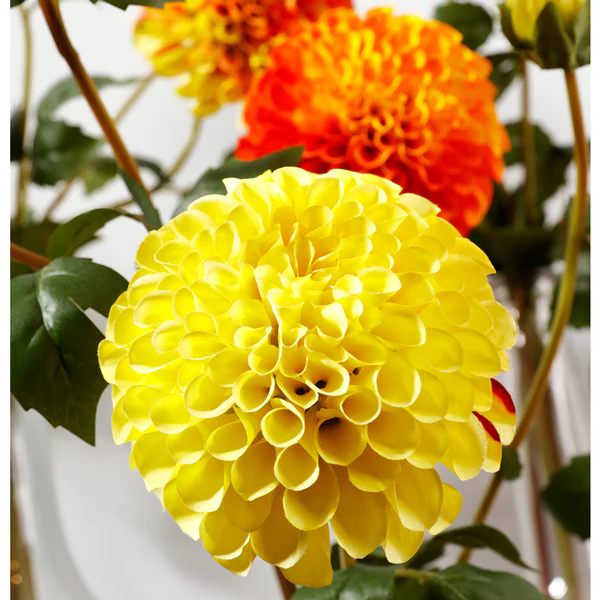 31" Silk Dahlia Flower Stem -Yellow/Red (Pack of 12) - Image 2