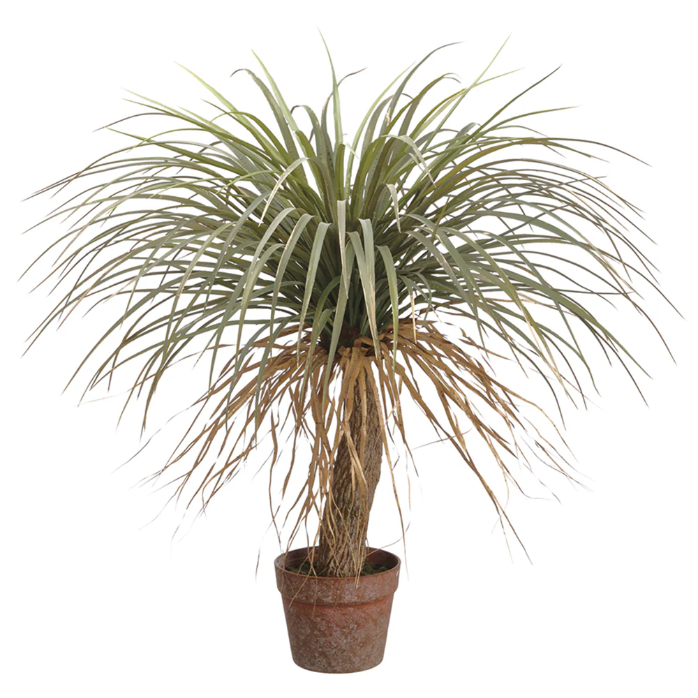 31" Silk Desert Palm Tree w/Pot -Green/Beige (Pack of 2)