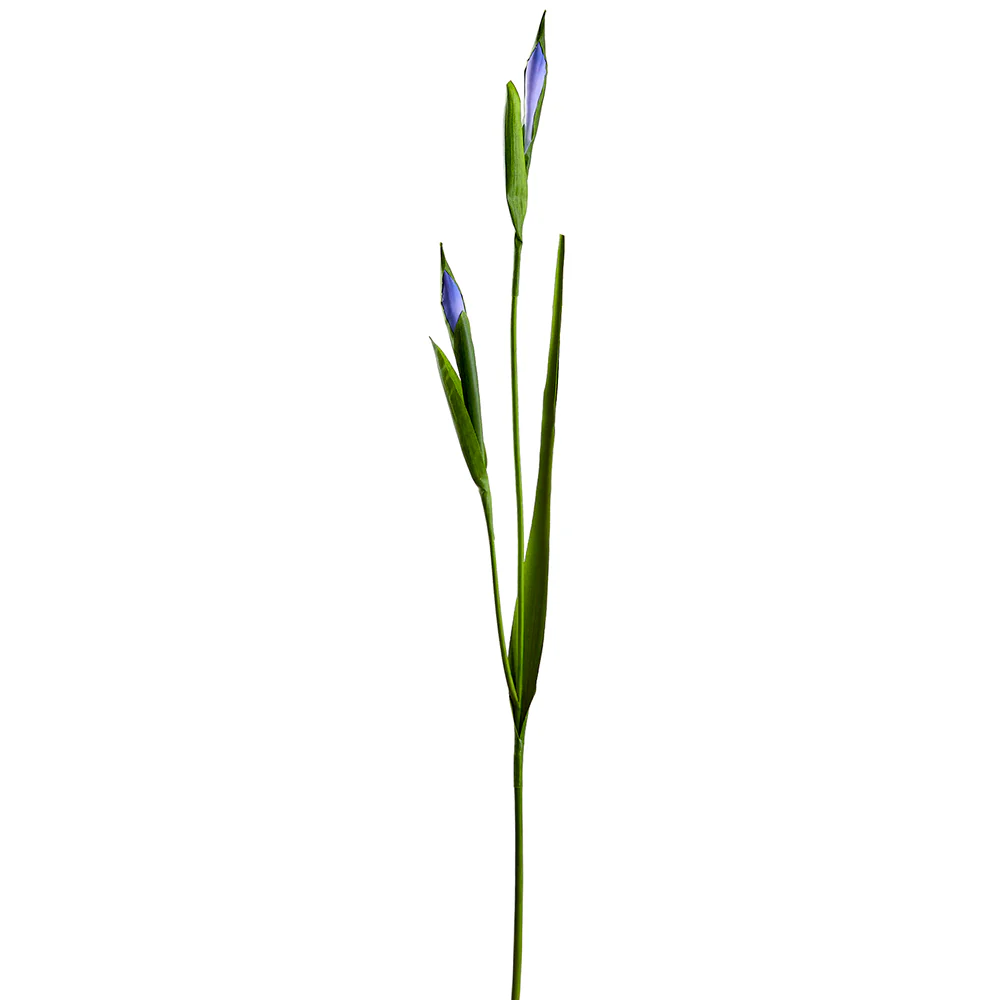 31" Silk Iris Bud Flower Stem -Helio (Pack of 12)