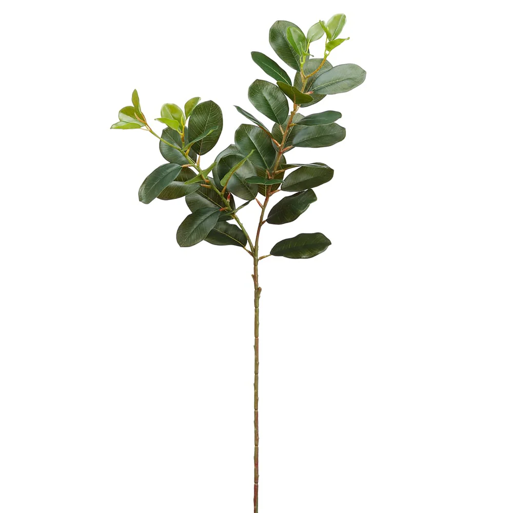 31" Silk Oriental Ficus Leaf Stem -Green (Pack of 12)
