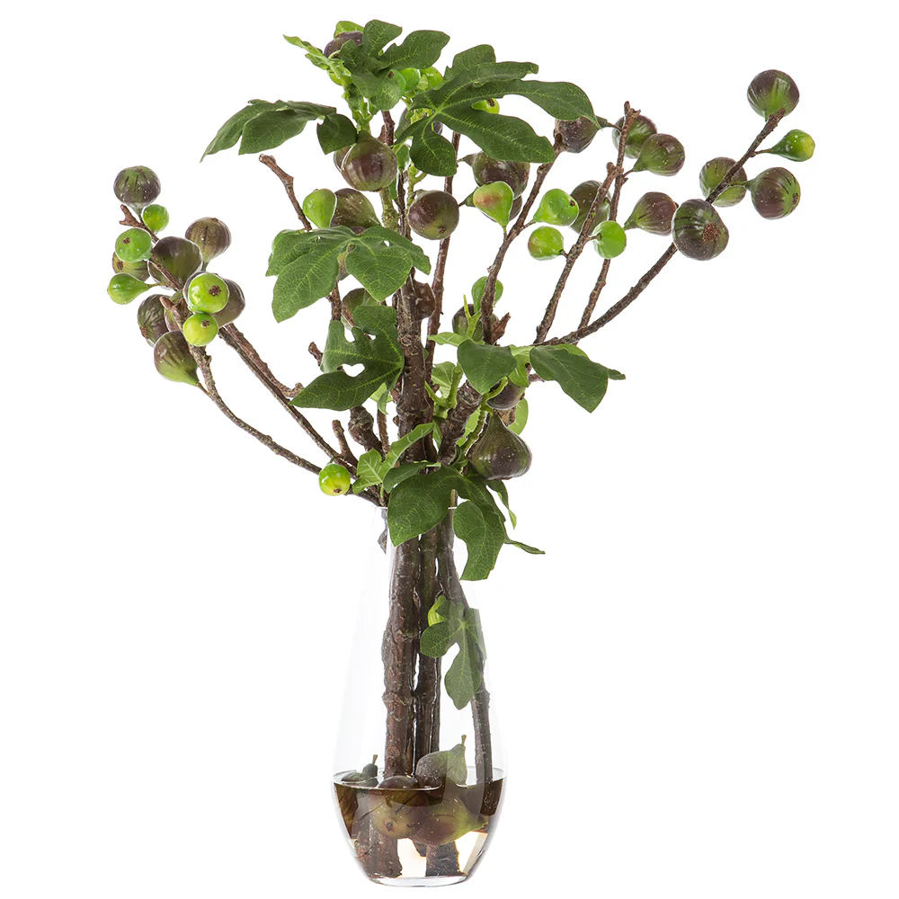 31"Hx29"W Artificial Fig Branches w/Glass Vase -Green/Burgundy