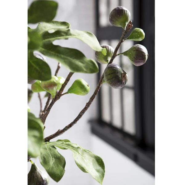 31"Hx29"W Artificial Fig Branches w/Glass Vase -Green/Burgundy - Image 3