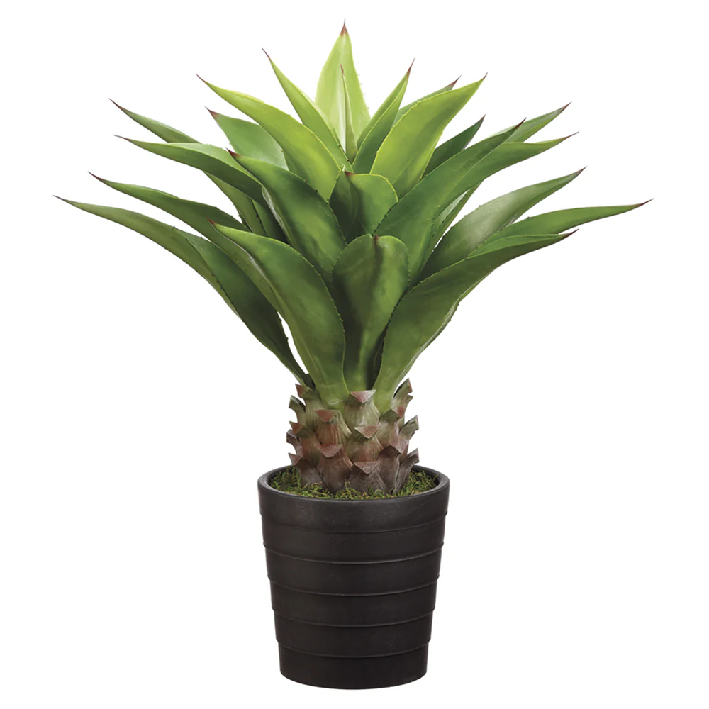 32" Agave Attenuata Artificial Plant w/Pot -Green