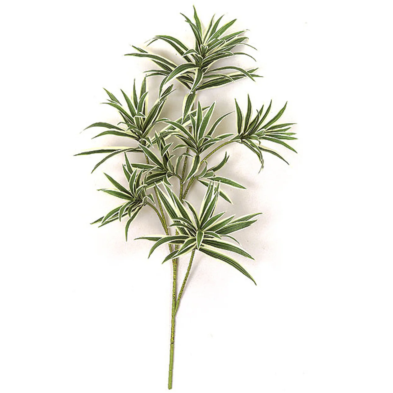 32" Artificial Dracaena Reflexa Branch Stem -Green/White (Pack of 6)